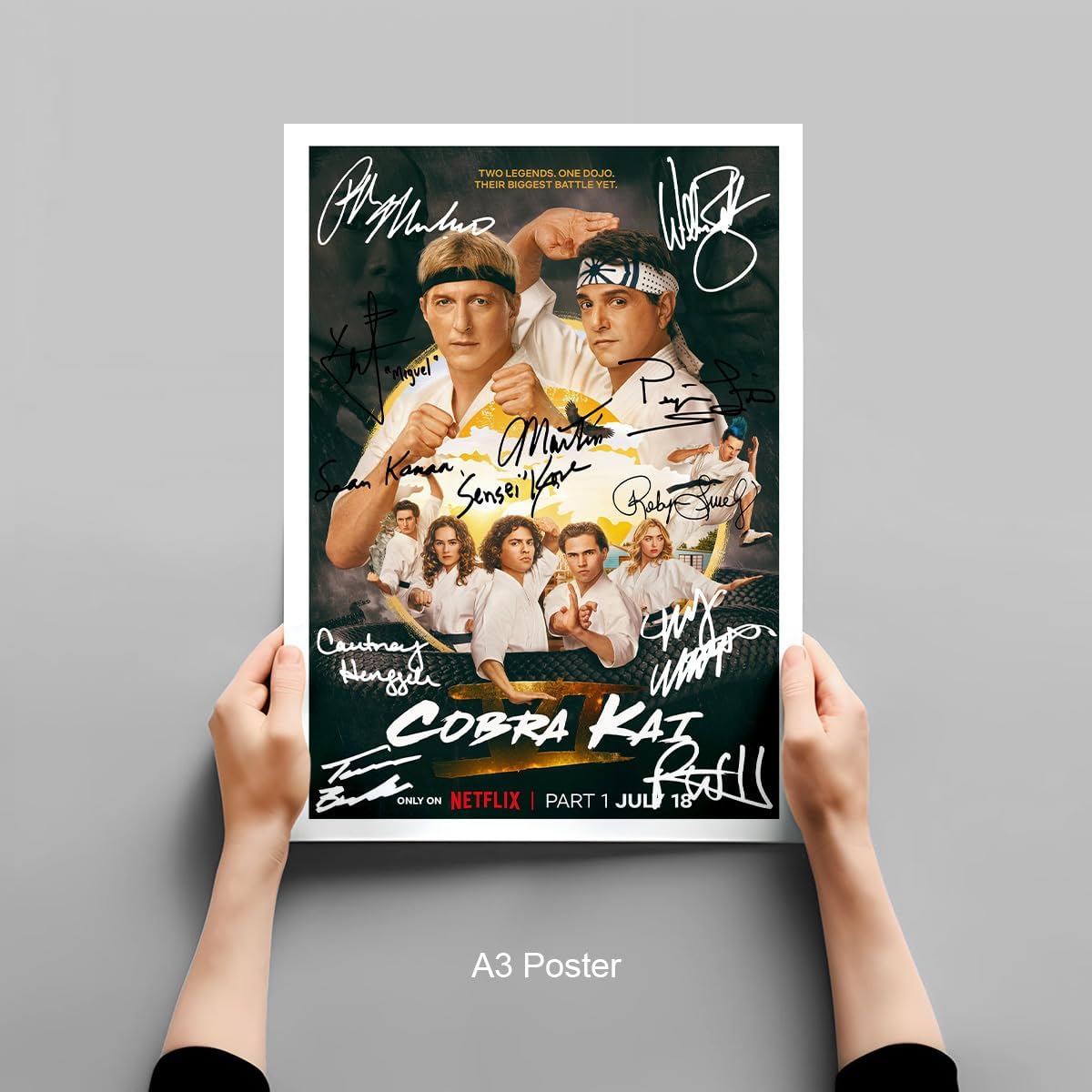 Cobra Kai Season 6 Cast Signed Autograph Poster Photo Print Framed Memorabilia Tv Show Series Gift Karate Kid (A4 poster only) - Image 5