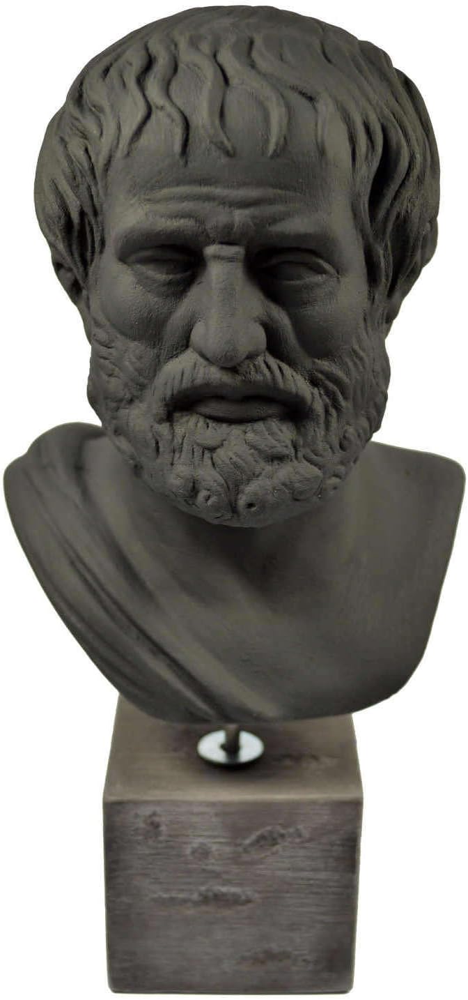 A striking 27 cm tall statue of Aristotle – the details are just wow! Polished to perfection, every feature catches the eye, really brings him to life. Perfect for a home library or that vibe-y corner in your room.