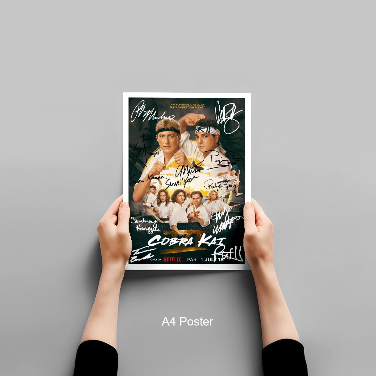 Cobra Kai Season 6 Cast Signed Autograph Poster Photo Print Framed Memorabilia Tv Show Series Gift Karate Kid (A4 poster only) - Image 6