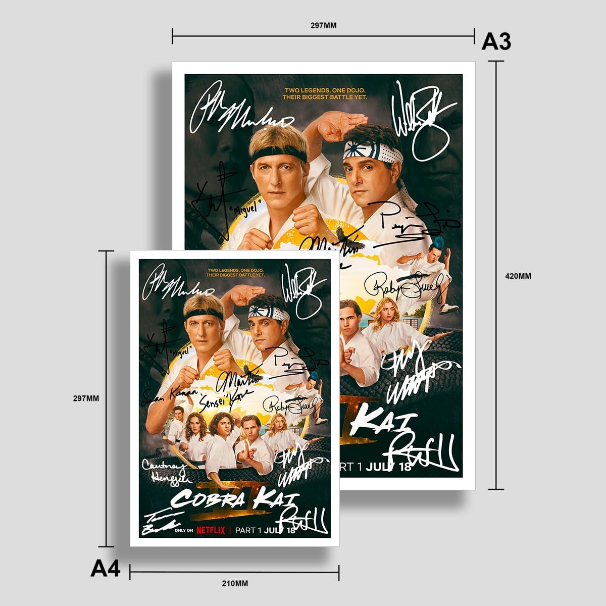 Cobra Kai Season 6 poster—bold, eye-catching artwork, complete with pre-printed autographs. Framed in sleek black, those bevel-edged mounts? They just add to the whole vibe. Perfect for fans wanting a slice of dojo drama on their wall.