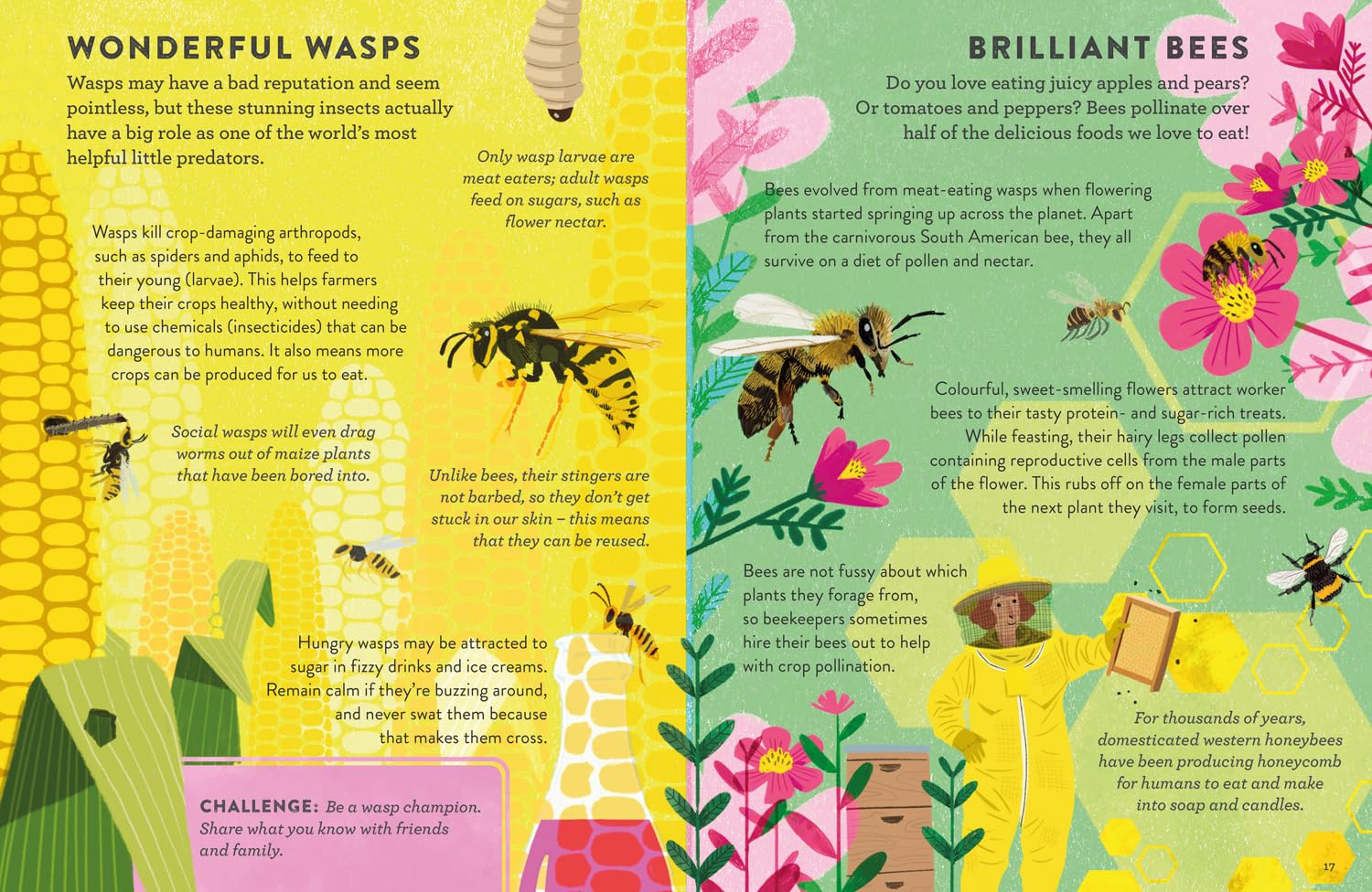 Superhero Animals: Chris Packham’s unmissable, new illustrated non-fiction children’s book on animals, the environment and protecting our planet (Little Experts) - Image 5